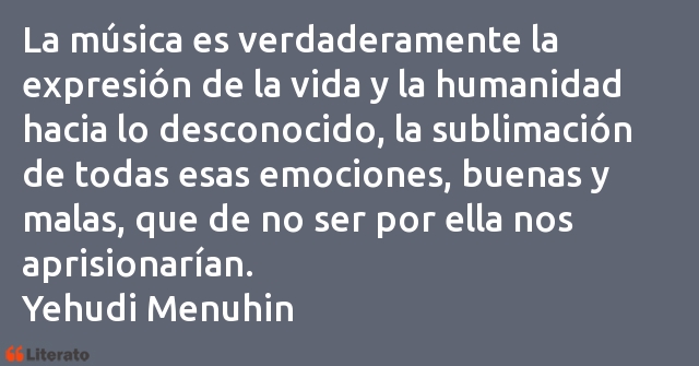 Frases de Yehudi Menuhin