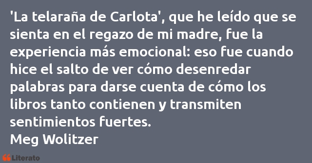 Frases de Meg Wolitzer