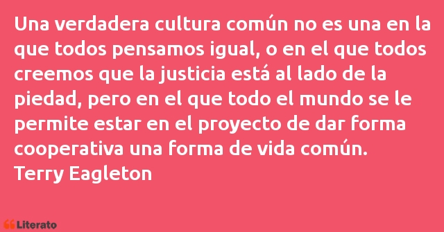 Frases de Terry Eagleton