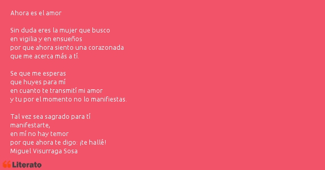 Frases de Miguel Visurraga Sosa