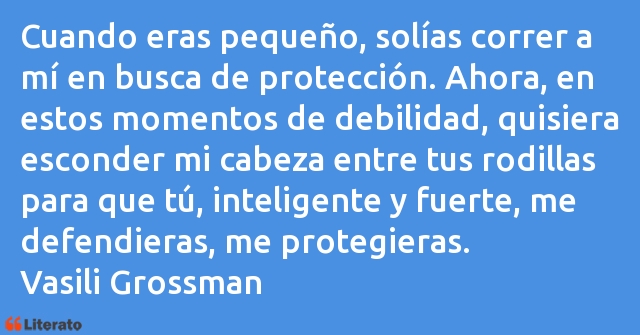 Frases de Vasili Grossman