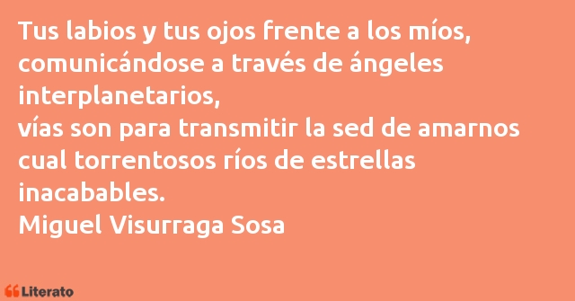 Frases de Miguel Visurraga Sosa