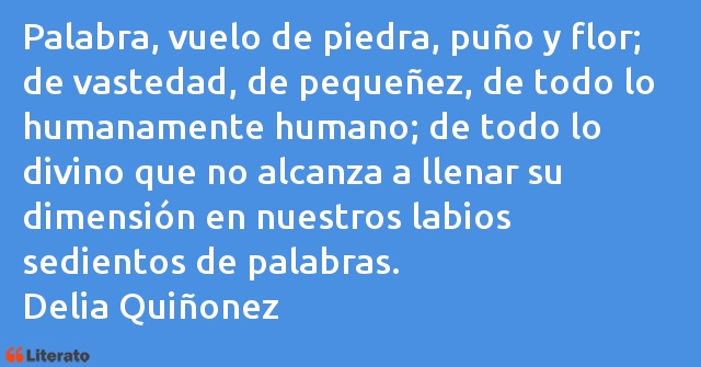 Frases de Delia Quiñonez