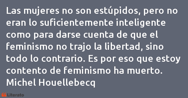 Frases de Michel Houellebecq