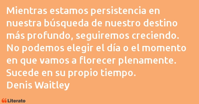 Frases de Denis Waitley