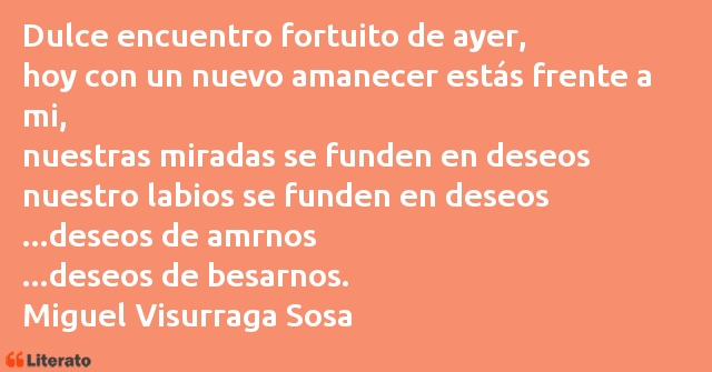 Frases de Miguel Visurraga Sosa