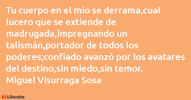 Frases de Miguel Visurraga Sosa