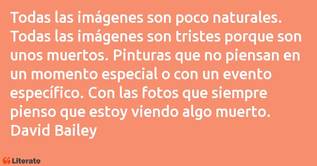 Frases de David Bailey