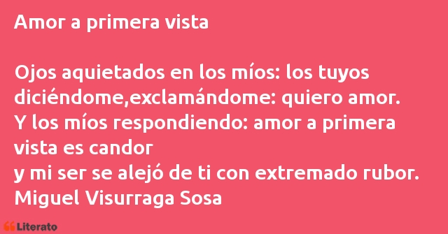 Frases de Miguel Visurraga Sosa