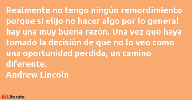 Frases de Andrew Lincoln