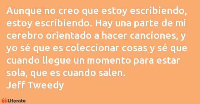 Frases de Jeff Tweedy