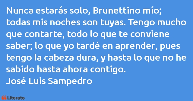 Frases de José Luis Sampedro