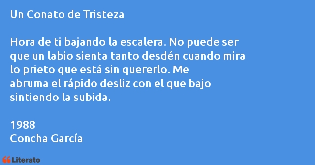 Frases de Concha García