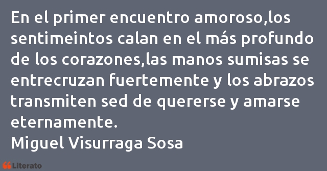 Frases de Miguel Visurraga Sosa