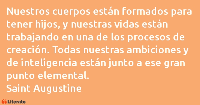 Frases de Saint Augustine