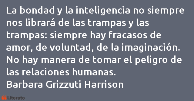 Frases de Barbara Grizzuti Harrison