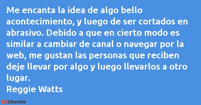 Frases de Reggie Watts