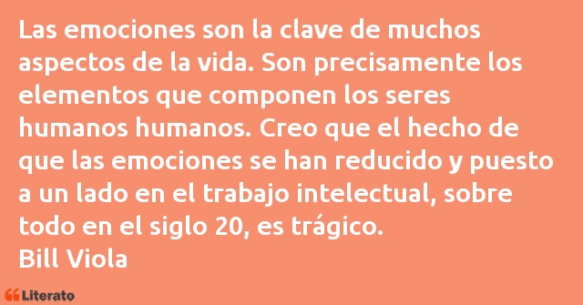 Frases de Bill Viola