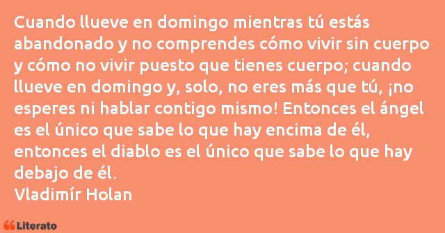 Frases de Vladimír Holan