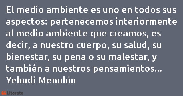 Frases de Yehudi Menuhin