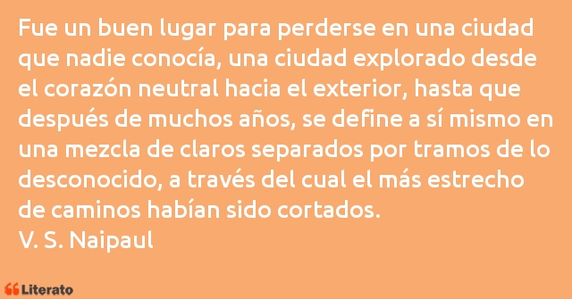 Frases de V. S. Naipaul