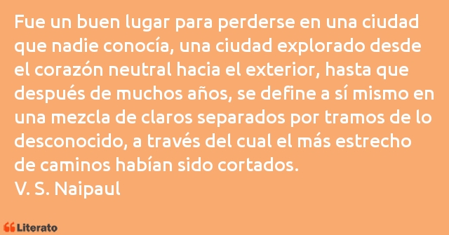 Frases de V. S. Naipaul