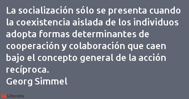 Frases de Georg Simmel