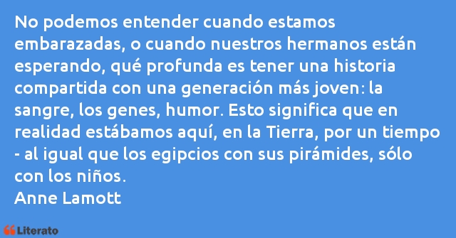 Frases de Anne Lamott