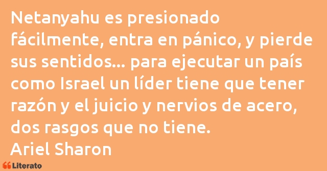 Frases de Ariel Sharon