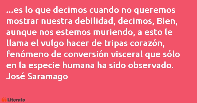 Frases de José Saramago