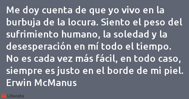 Frases de Erwin McManus