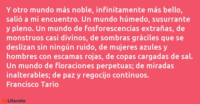 Frases de Francisco Tario