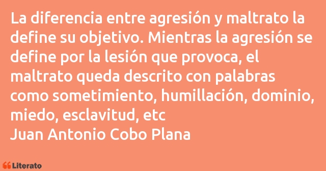 Frases de Juan Antonio Cobo Plana