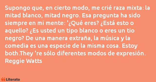 Frases de Reggie Watts