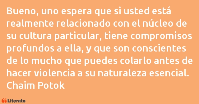 Frases de Chaim Potok