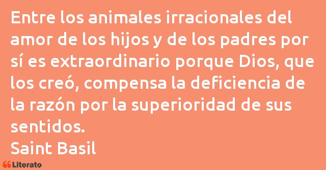 Frases de Saint Basil