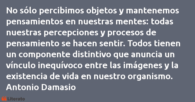 Frases de Antonio Damasio