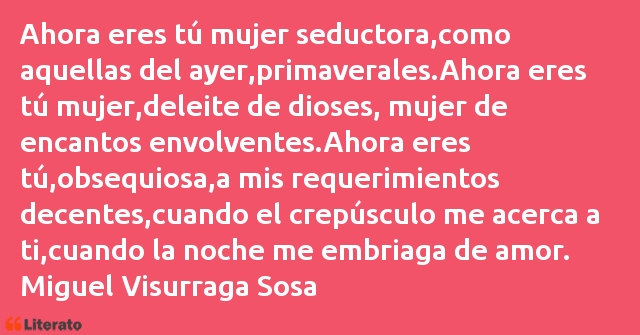 Frases de Miguel Visurraga Sosa