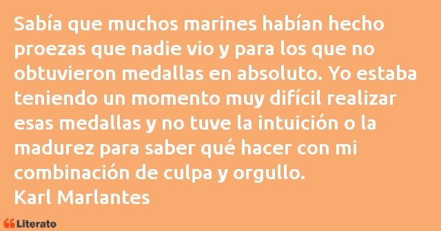 Frases de Karl Marlantes