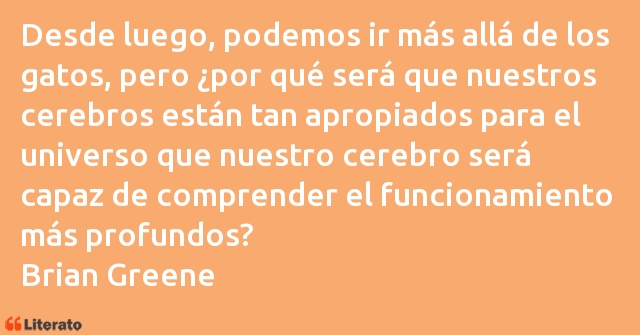 Frases de Brian Greene