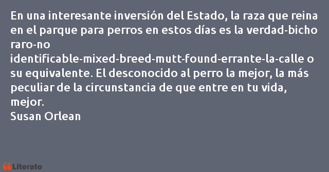 Frases de Susan Orlean