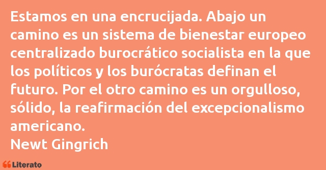 Frases de Newt Gingrich