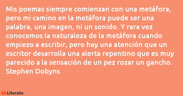 Frases de Stephen Dobyns