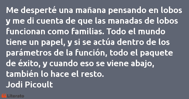 Frases de Jodi Picoult