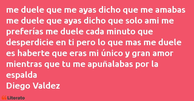 Frases de Diego Valdez