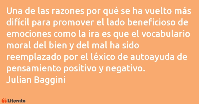 Frases de Julian Baggini