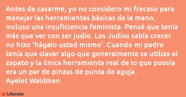 Frases de Ayelet Waldman