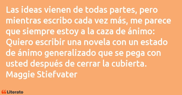 Frases de Maggie Stiefvater