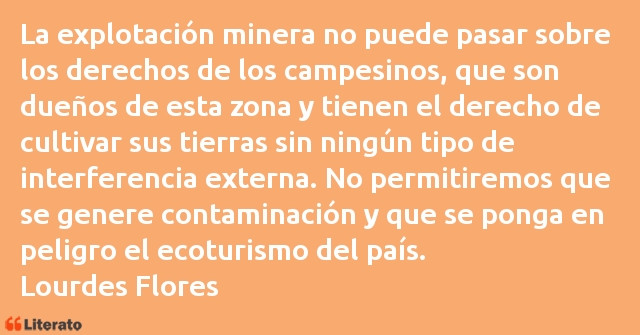 Frases de Lourdes Flores