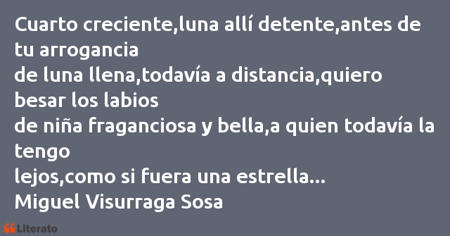 Frases de Miguel Visurraga Sosa